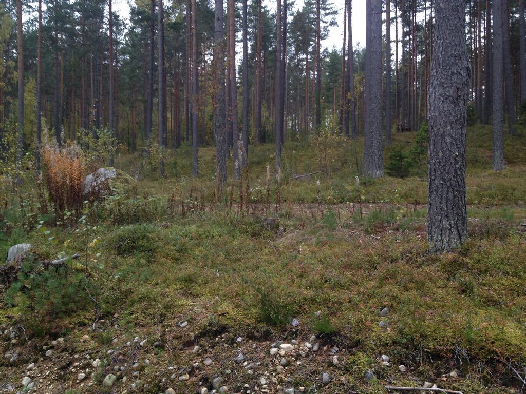 Kultainen Kaava Cottages Padasjoki Exterior foto