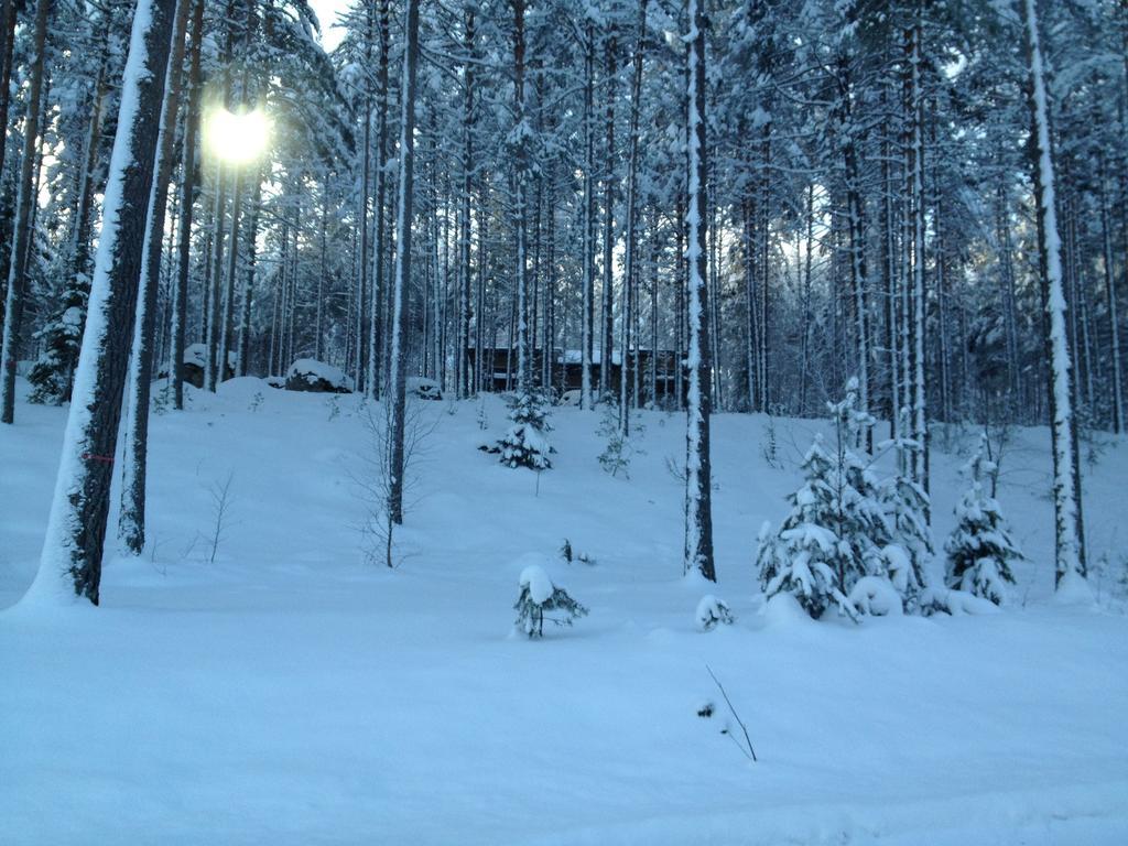 Kultainen Kaava Cottages Padasjoki Exterior foto